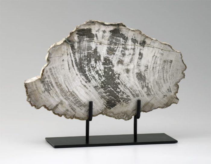 Large Petrified Wood Sculpture